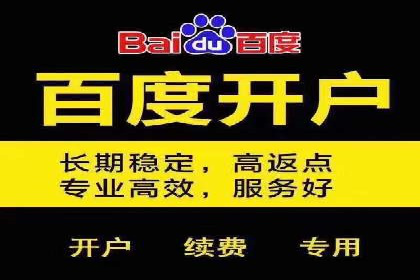 行业标杆的SEM竞价营销案例研究